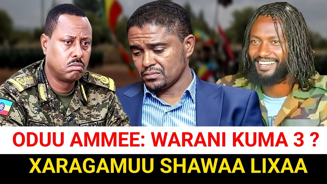 Shimallis vs WBO: Oromiyaa keessatti Maltuu ta'e? | Moha Oromo 