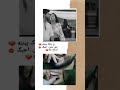 روحي مليانه محنه وكلبي مليان شتياق تدري بيه شكد أحبك يمكن بكد العراق لا تراق