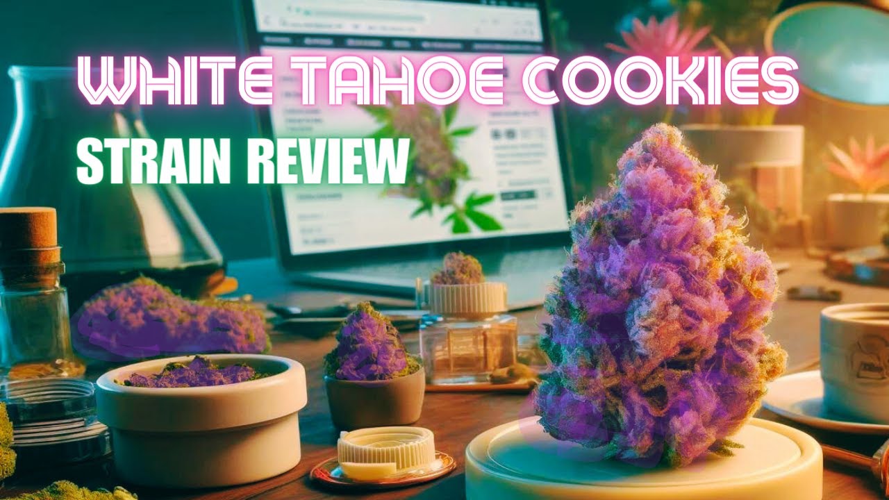 White Tahoe Cookies | 1 Minute Strain Review