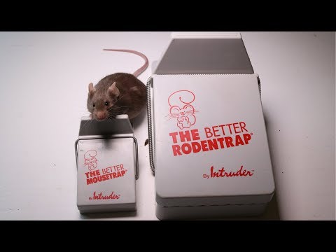 The Better Mousetrap & Rodent Trap Made By Intruder - Major Rat Fail 