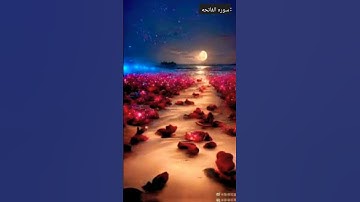 فاتحه القران //ماهر المعيقلي//قران كريم اجر لي ولكم في نشره