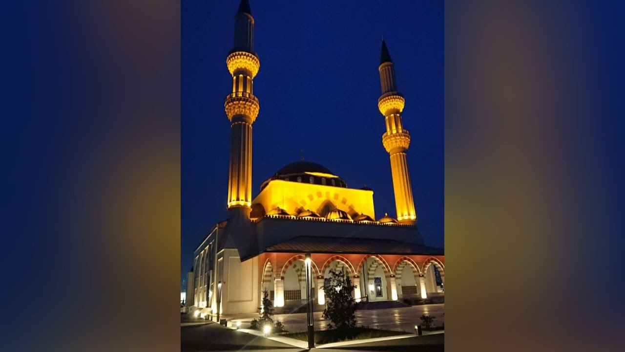 ﴿ألم تر إلى الذين خرجوا من ديارهم وهم ألوف حذر الموت﴾ تلاوة مميزة وترتيل جميل للقارئ خالد الرياعي