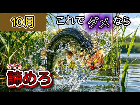 【厳選】10月の実績100%最強おすすめルアー