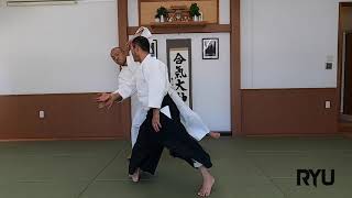 合気道の技　正面打ち四方投げ　Aikido techniques: Shomen uchi shihonage screenshot 3