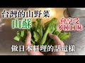 【山蘇日本料理】不只炒 日本料理的話可以做不一樣好吃的山蘇料理 我推薦四種不同口味做法 公開烹飪所需自製調味料等的食譜