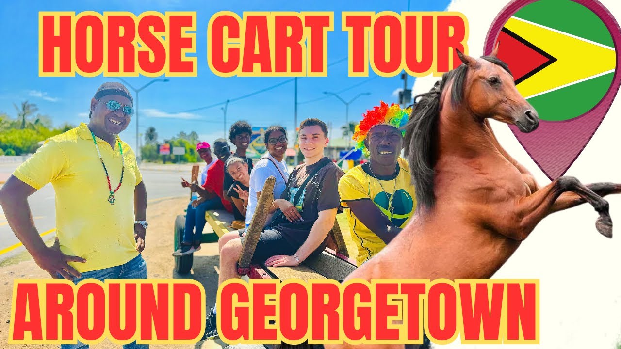 horse cart tour around Guyana vlog YouTube