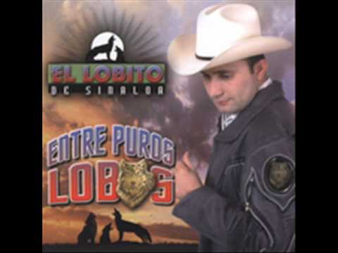 Watch the video for Me Dicen El Coyote