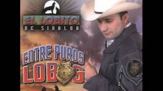 Version 1 of the video