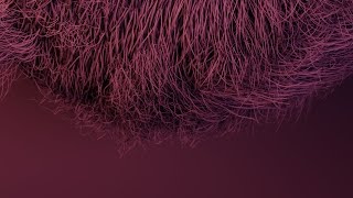 Creating Hair in Cinema 4D