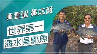 草地狀元-全球唯一海水吳郭魚達人(20190415播出)careermaster