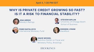 Why is private credit growing so fast? Is it a risk to financial stability?