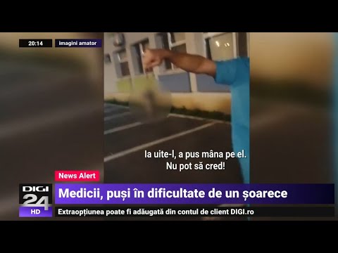 Șoarece surprins într-un spital din Capitală: „Să întoarcem targa. Nu mai vrea să iasă, fii atent!”