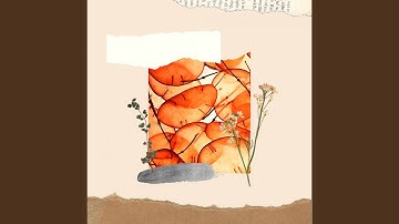 Hip Moods for Bohemia Vibes