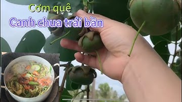 Cơm quê vợ nấu || Canh chua cá lóc nấu trái bần, bông so đũa  😃😃😃