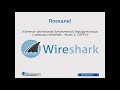 Изучение протоколов динамической маршрутизации с помощью Wireshark. Часть 2: OSPFv2