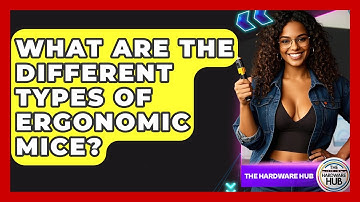 What Are The Different Types Of Ergonomic Mice? - The Hardware Hub