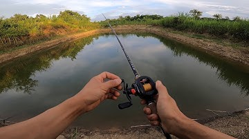 Cách quăng câu lure máy ngang không bị rối dây cho người mới.