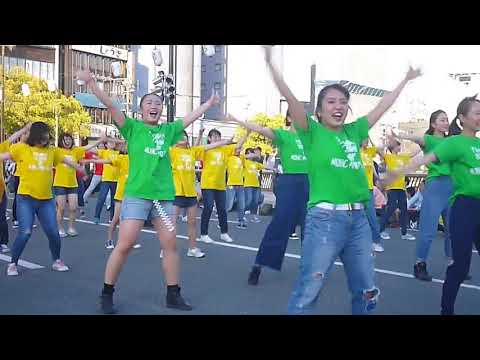 博多どんたく 2018.5.4  ﾊﾟﾚ-ﾄﾞ6　（一般2）