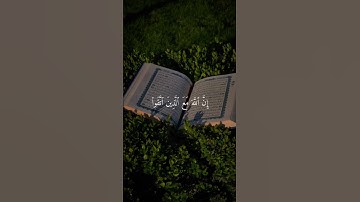 وأصبر وما صبرك إلا بالله ولا تحزن عليهم #قران #قران_كريم #راحة_نفسية #فارس_عباد #سورة_النحل