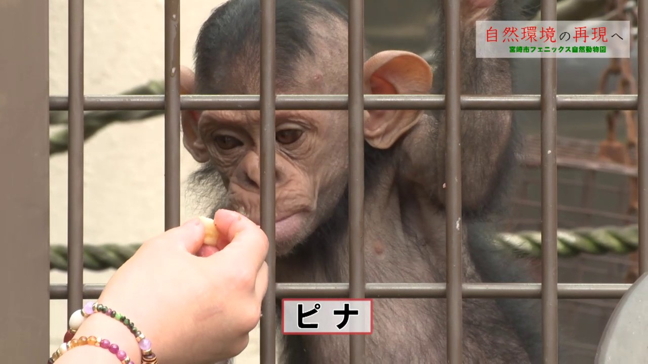 動物園のあるまちプロジェクト 十勝毎日新聞電子版 Tokachi Mainichi News Web
