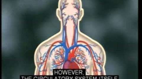 Real World: Earth System Science