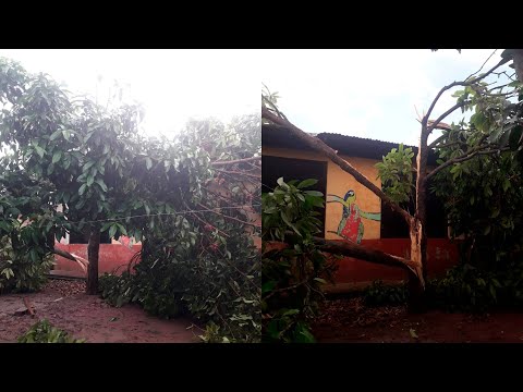 Lluvia con fuertes vientos destechó viviendas y trajo abajo árboles en el distrito de Cuñumbuque