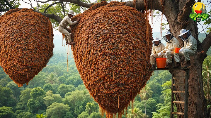 CÓMO se RECOGE la MIEL ROJA más PELIGROSA del MUNDO desde ACANTILADOS  EXTREMOS 🧗🍯