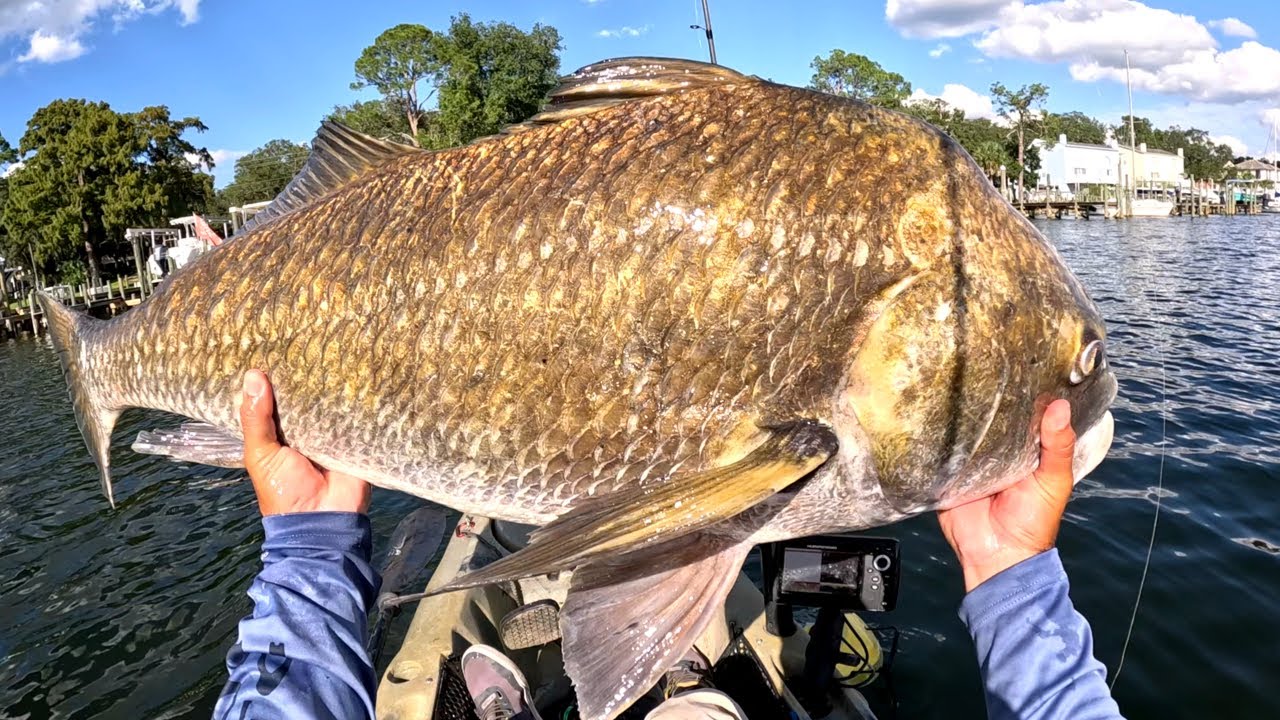 Short Kayak Fishing Trip to the Bayou