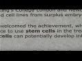 A Stem Cell Story