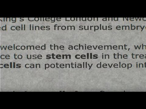 A Stem Cell Story