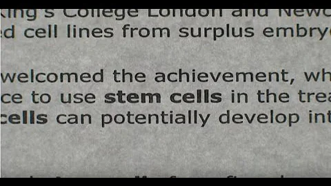 A Stem Cell Story - 天天要聞