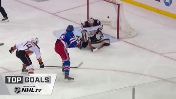 PUCK PROTECTION   DRIVING NET   6 CLIPS