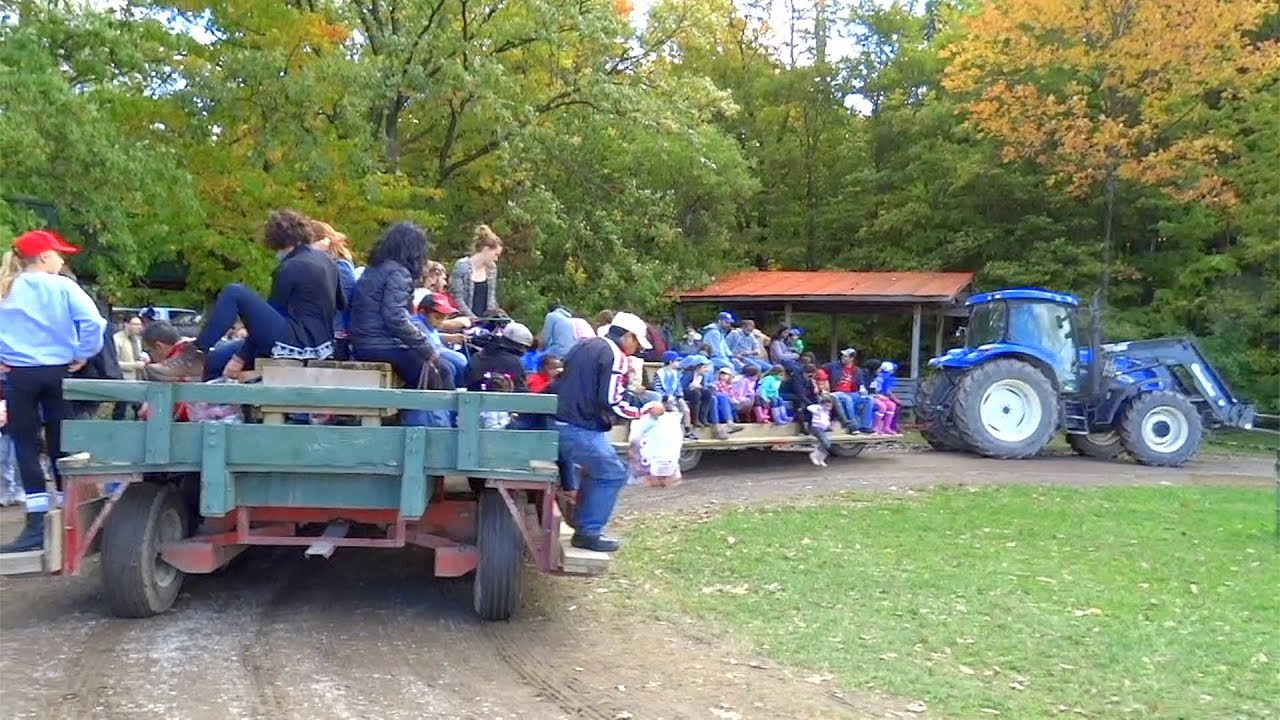 Apple Picking In Toronto YouTube