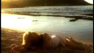 the charlatans: you&#39;re so pretty VIDEO