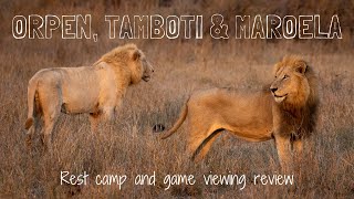 ORPEN, TAMBOTI & MAROELA Rest Camp & Game Viewing Review | Kruger National Park Accommodation #5