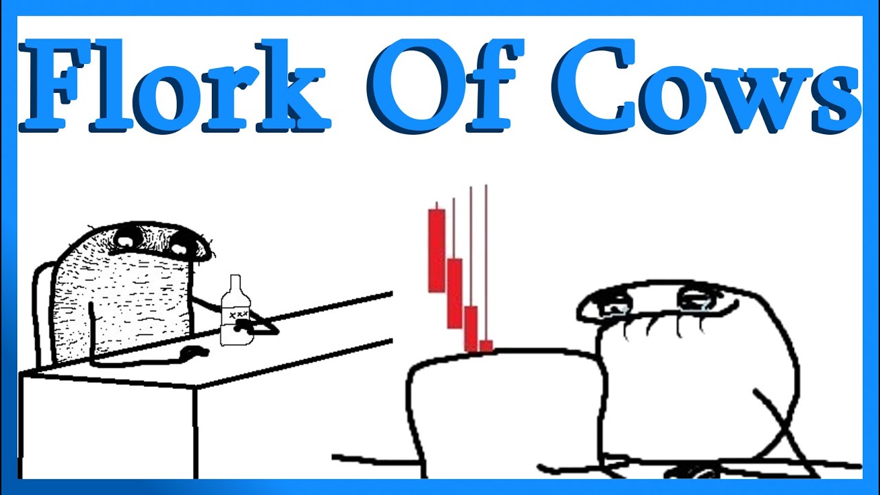 Flork of Cows: Video Gallery