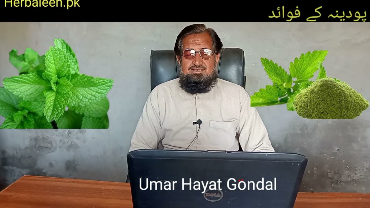 What are the benefits of Podina? پودینہ کے فوائد