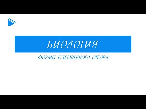 11 Класс - Биология - Формы естественного отбора