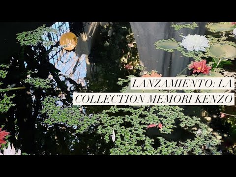 Evento de presentación