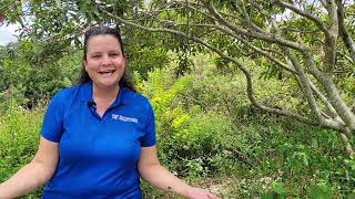 Meet Our Team: Sarah Davis -- youth development: 4-H