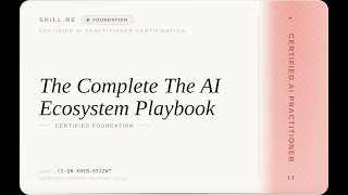 Certified AI Practitioner: The Complete The AI Ecosystem Playbook