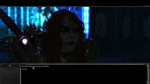 Divinity II: Developer