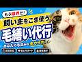 風邪っぴきの猫から飼い主へ「毛繕い代行」の依頼がやってきました。
