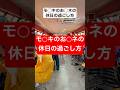 お◯ネマジか… #ブリカワ #ブリとカワウソ