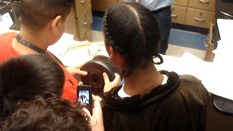 Toothpick Bridge competition