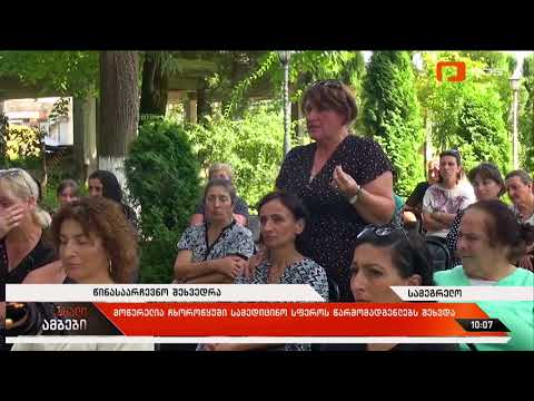 ალექსანდრე მოწერელია ჩხოროწყუს მუნიციპალიტეტში სამედიცინო სფეროს წარმომადგენლებს შეხვდა