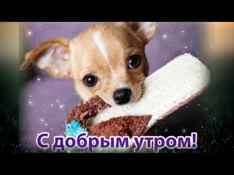 Красивое пожелание с добрым утром! Доброе утро!