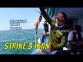 Silih Berganti Strike Ikan di Perairan Singkawang | MANCING MANIA STRIKE BACK (26/11/23) Part 1