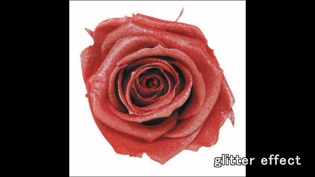 Rose Dougo Workshop - What is Preserved Flower ? - YouTube