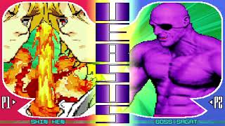 CAPCOM FIGHTING EVOLUTION MAX- SHIN KEN VS. BOSS SAGAT  3-7-24